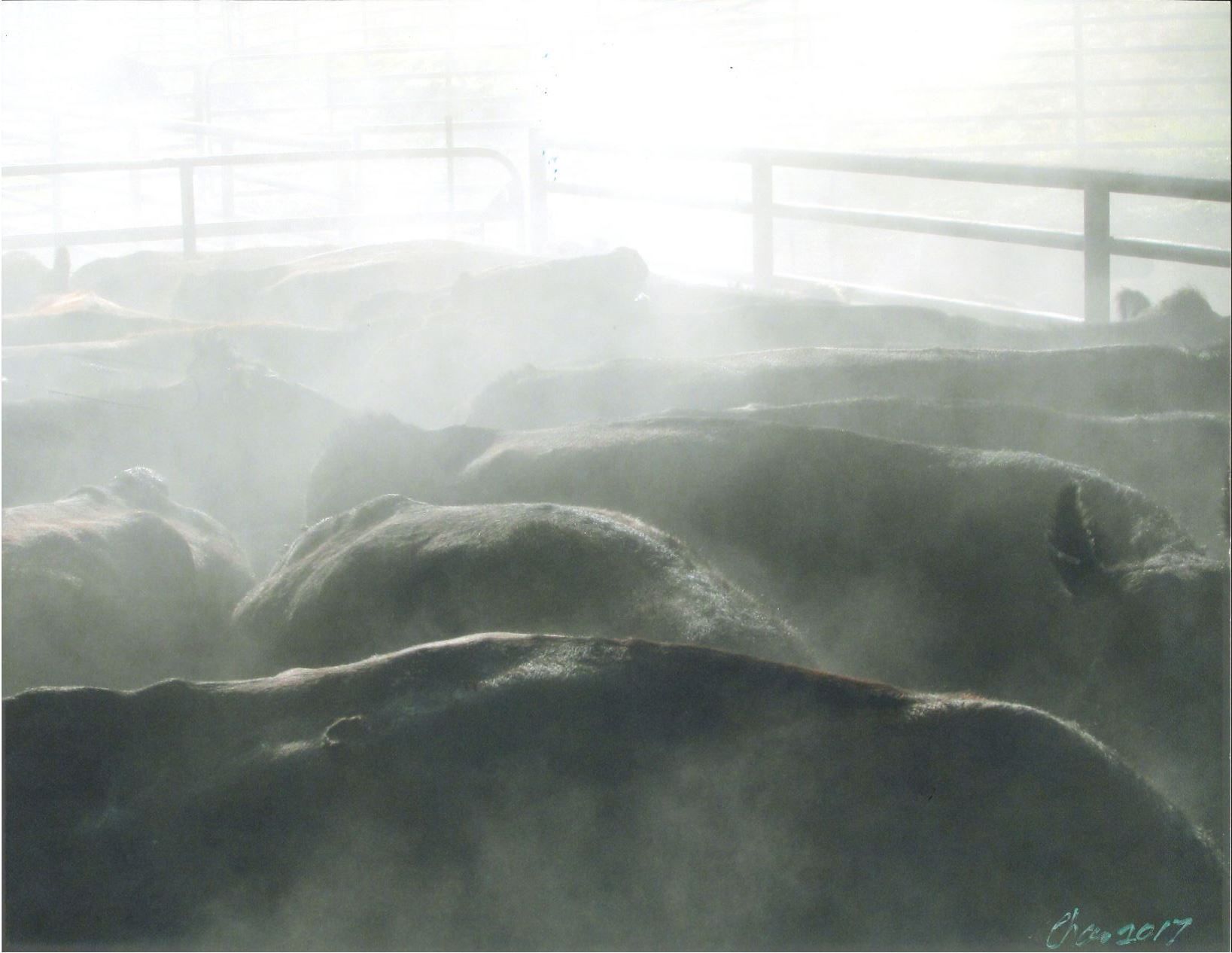 Charlene Cooper - Morning Gather.jpg